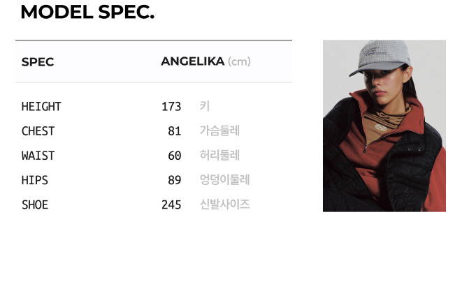 모델 스펙: 신체 정보